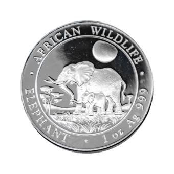 Silver Somalia Elephant 1 Ounce (diff.)