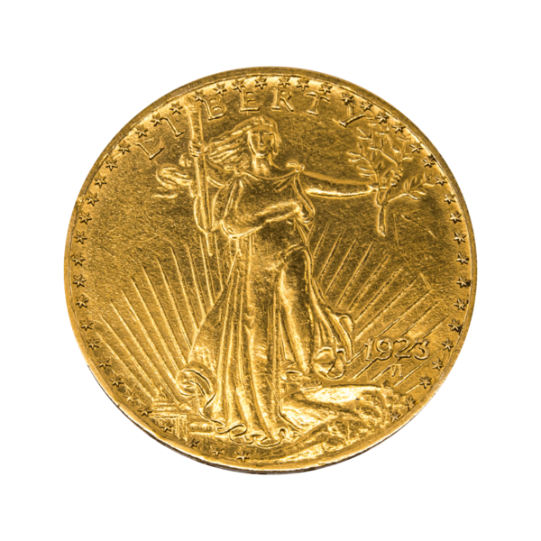 St. Gaudens Double Eagle 20 Dollar Div. Vintages