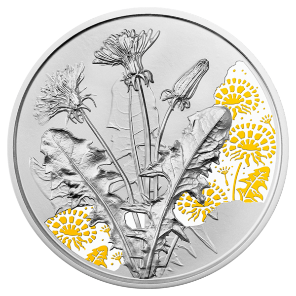 Silver coin &quot;The dandelion
