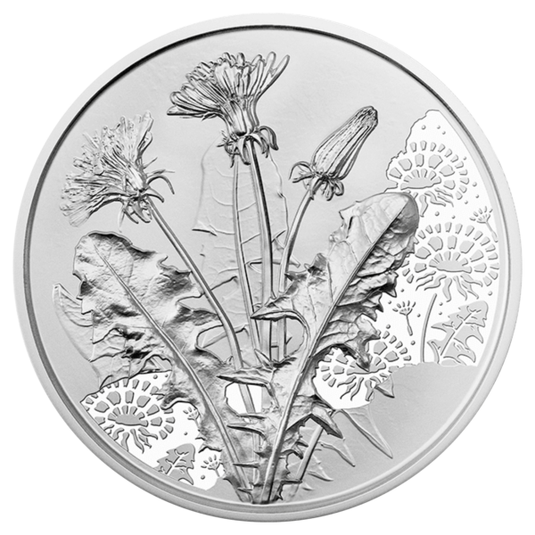 Silver coin &quot;The dandelion&quot; Hand lifted