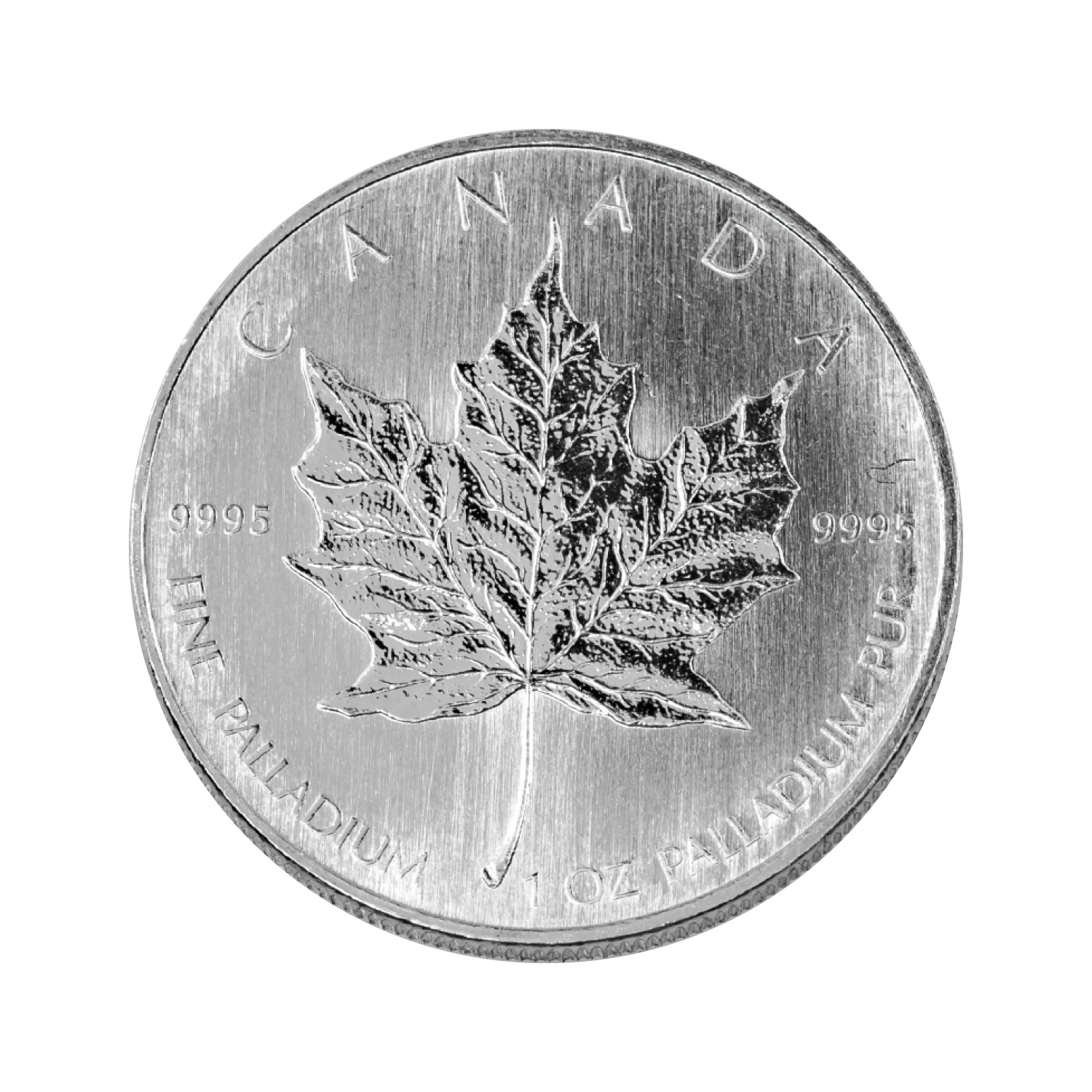 Silver Maple Leaf