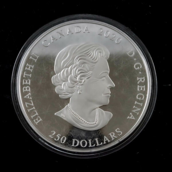Silbermünze “Arms of Dominion of Canada” 1 Kilogramm | Div. Jahre | Differenzbesteuert
