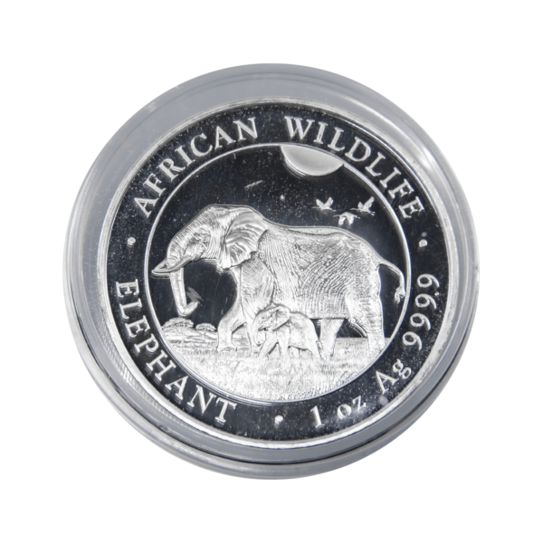 Special: 20 Stück Silber Somalia Elephant 1 Unze in Alukassette (diff.)