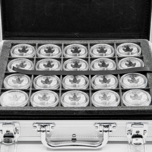 Special: 120 Stück Silber Maple Leaf 1 Unze im Alukoffer (diff.)