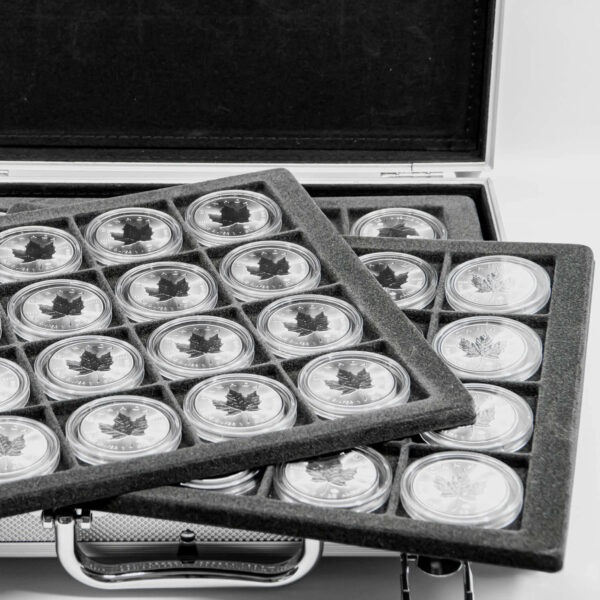 Special: 120 Stück Silber Maple Leaf 1 Unze im Alukoffer (diff.)
