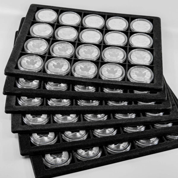 Special: 120 Stück Silber Maple Leaf 1 Unze im Alukoffer (diff.)