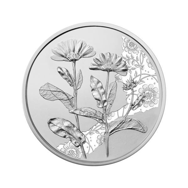 Серебряная монета 10 евро "Мэриголд" (пруф)