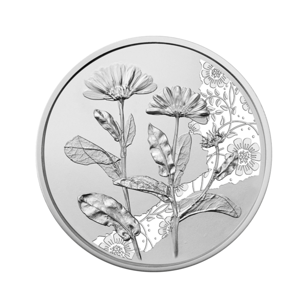 10 Euro Silver Coin "The Marigold" (Proof)