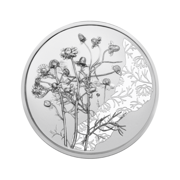 10 Euro | "Die Kamille" 2023 (Handgehoben) | Silbermünze – Bild 3